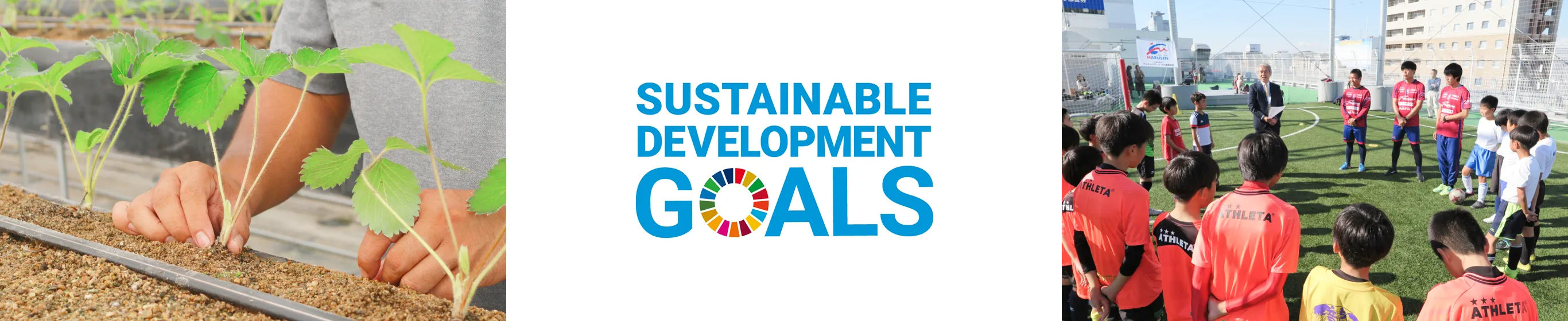 SUSTAINABLE DEVELOPMENT GOALS